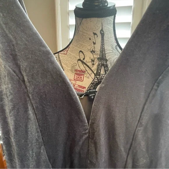 Express Velvet Gray Mini Dress - Picture 8 of 8